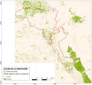 Cartografía Forestal. Mapa de Altura de la Vegetación