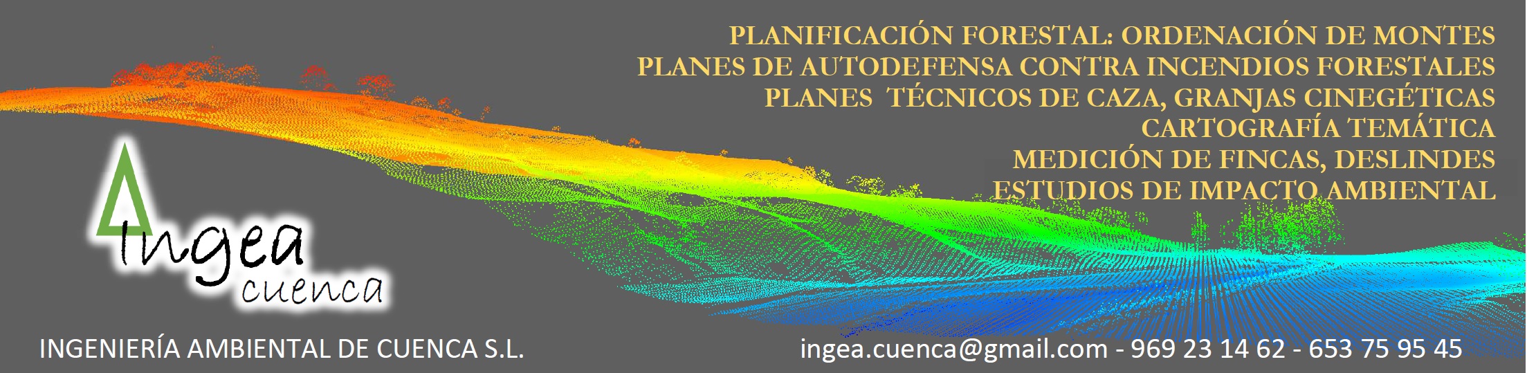 Mapas Forestales. Anuncio INGEA