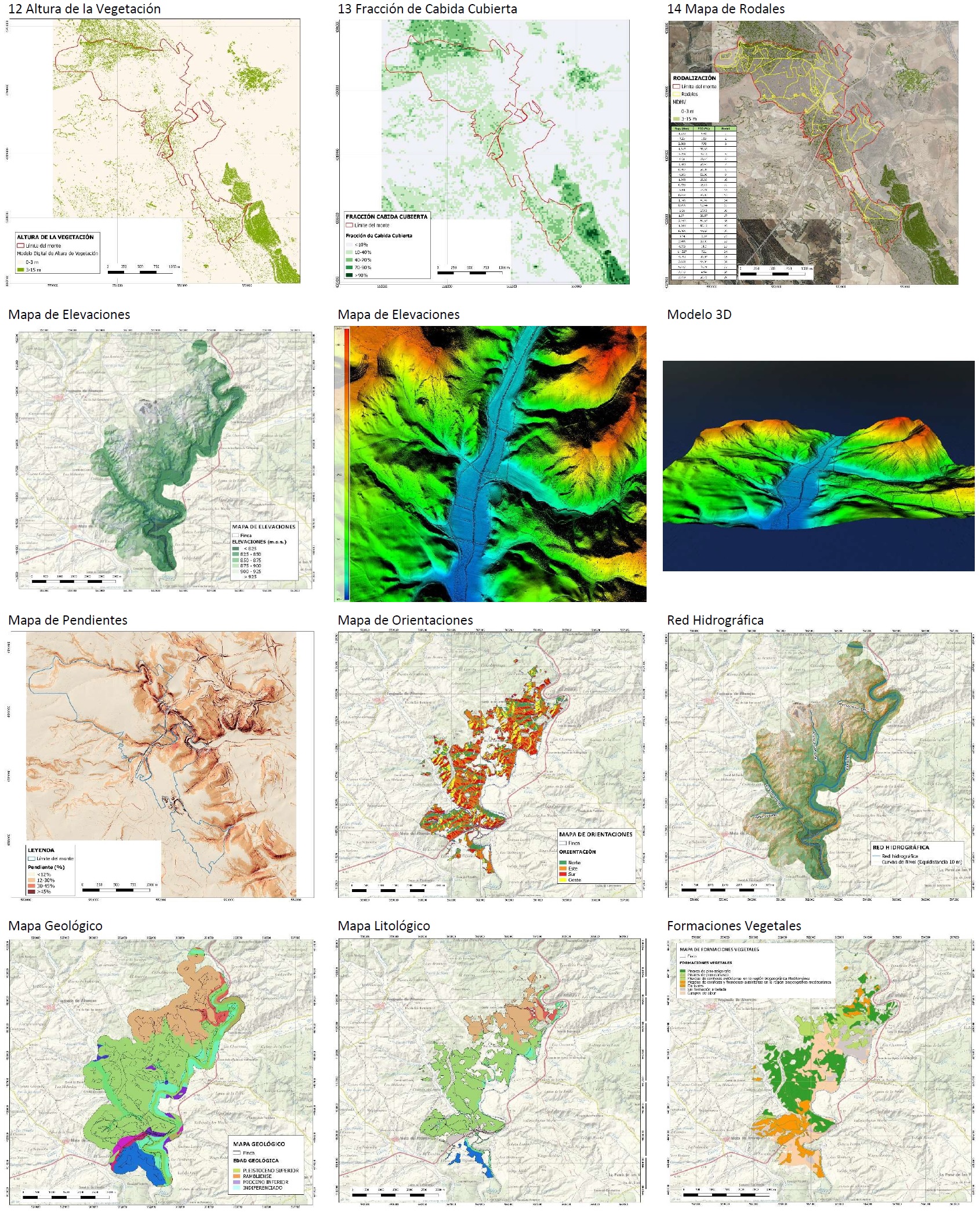 Cartografía Forestal: Altura de Vegetación, Fracción Cabida Cubierta (Fcc), Mapa de Rodales
